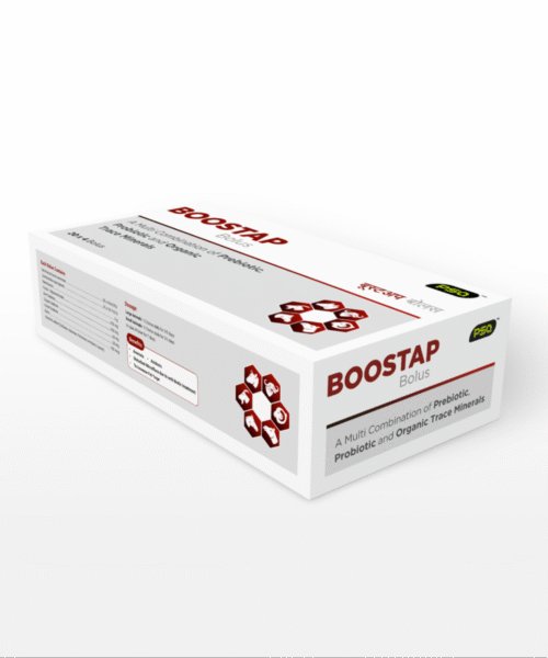 BOOSTAP Bolus 4 Nos