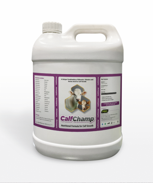 CalfChamp (Liquid) 5LTR