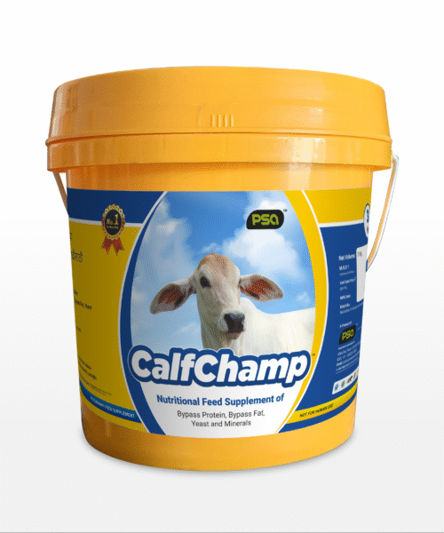 CalfChamp (Nutritional Feed Supplement Powder) 3KG