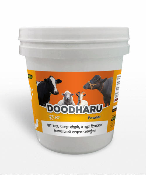 DOODHARU Powder 1KG