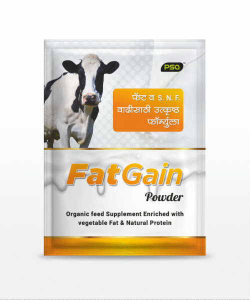 FatGain Powder 1KG