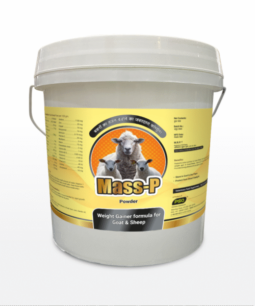 Mass-P Powder 1KG