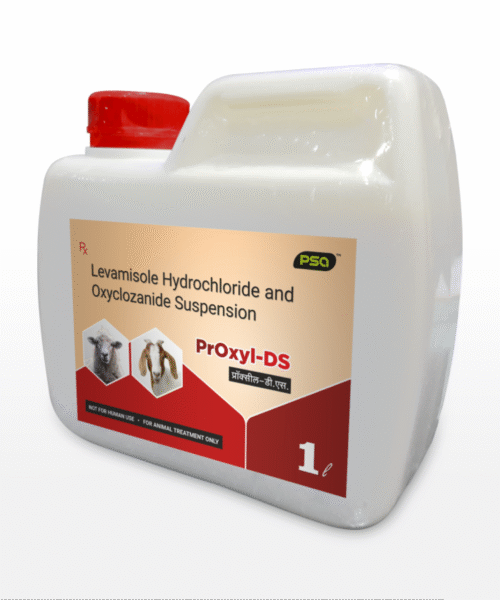 Proxyl-DS Suspension 1LTR