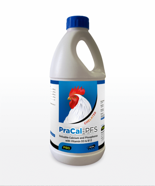 PraCal-PFS 1LTR