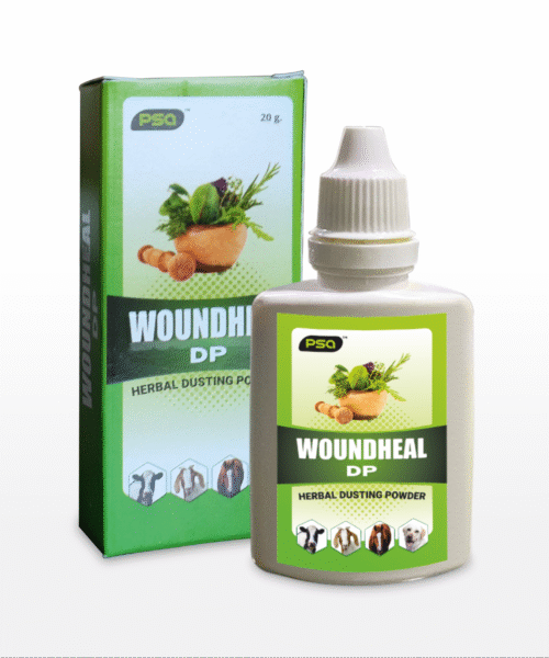 WOUNDHEAL DP Herbal Dusting Powder 20GM