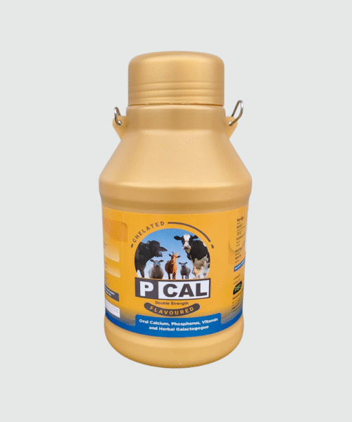 PCAL DOUBLE STRENGTH 5LTR
