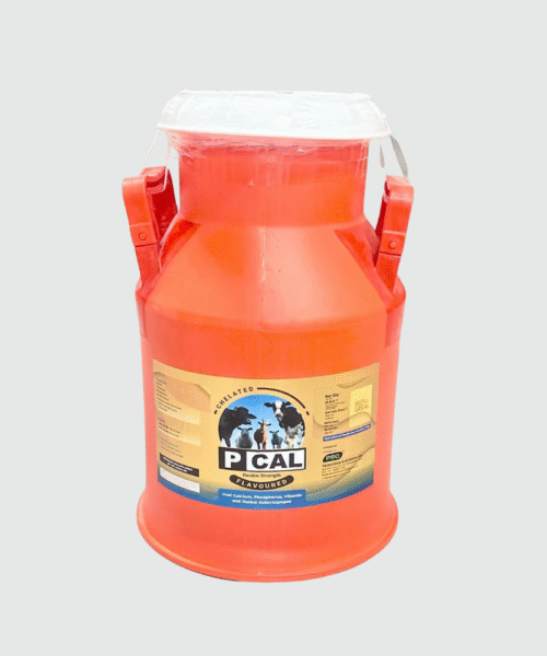 PCAL DOUBLE STRENGTH 20LTR