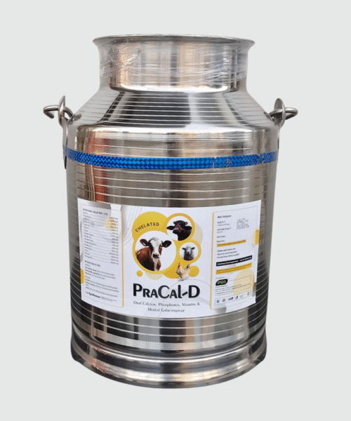 PraCal-D Chelated 15LTR SS