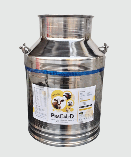 PraCal-D Chelated 20LTR SS