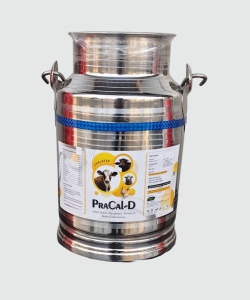 PraCal-D Chelated 5LTR  SS