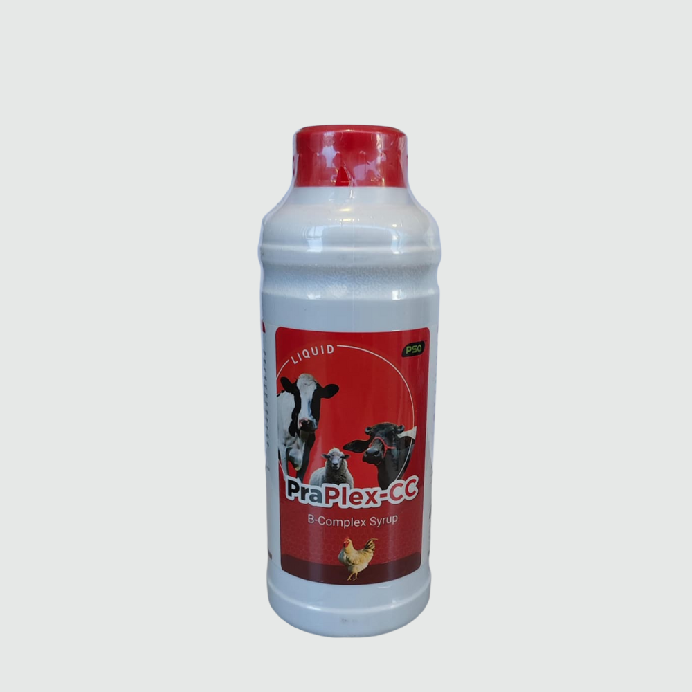 PraPlex-CC B-Complex Syrup 1LTR
