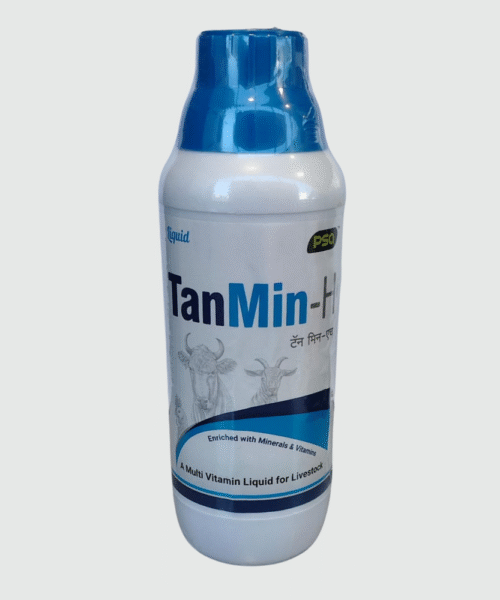 TanMin-H 1LTR