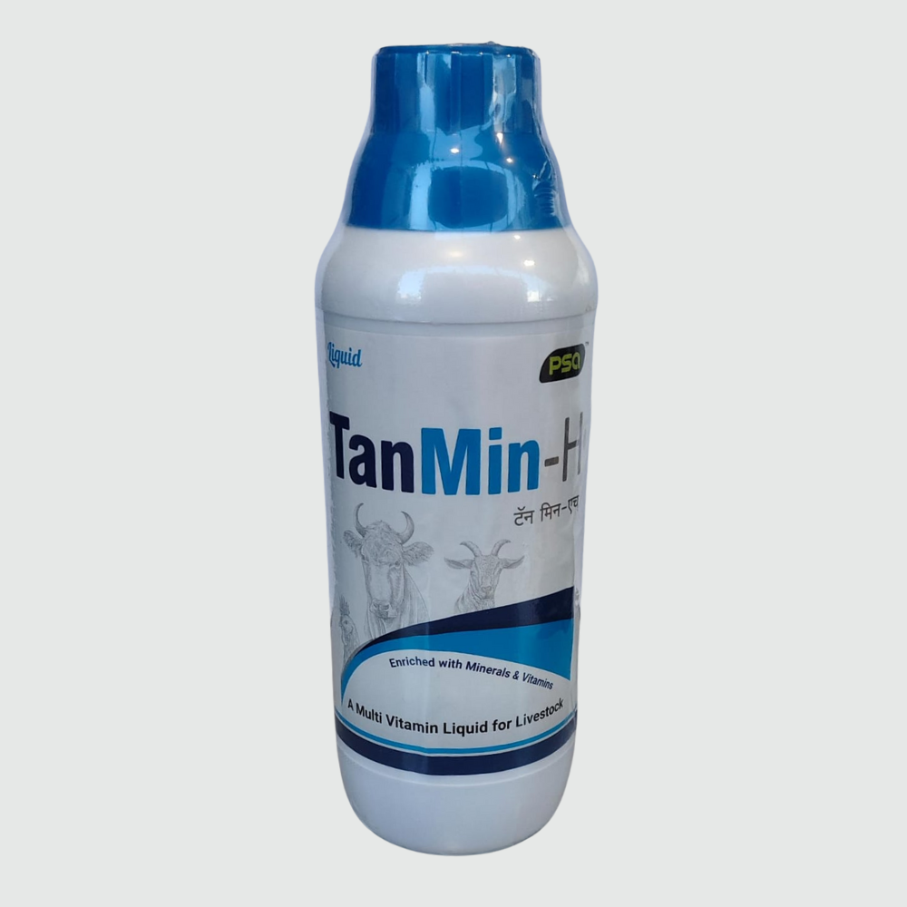 TanMin-H 1LTR