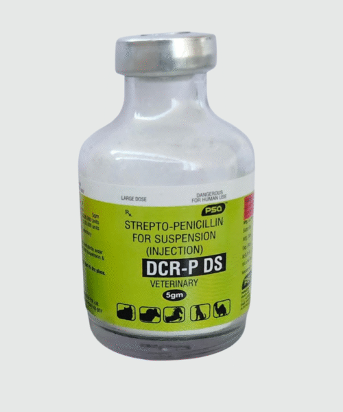 DCR-P DS 5gm inj